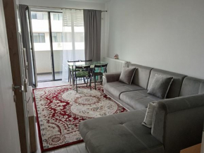Deluxe 2 bedroom apartment with balcony and private parking